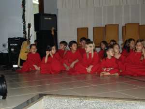 PIB(9)